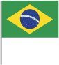 巴西.png